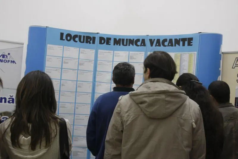 Peste 7.000 de şomeri ieşeni s-au angajat în 2018 cu ajutorul AJOFM