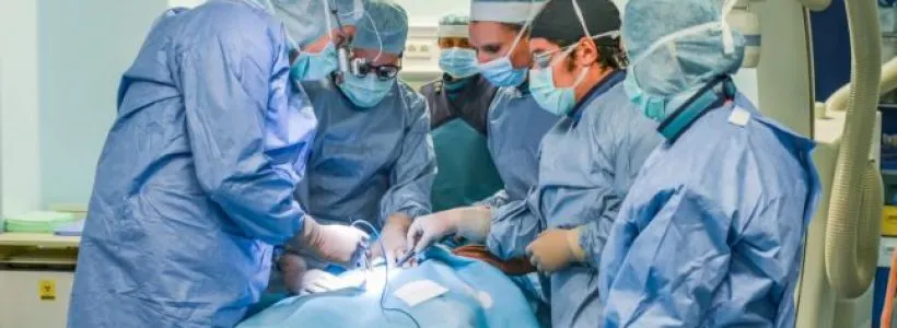 Transplant de rinchi, la Iași, după un deceniu de aşteptare