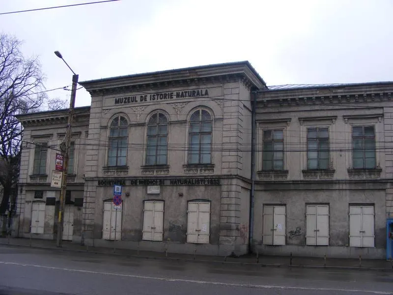 Fonduri pentru reabilitarea Muzeului de Istorie Naturală din Iaşi