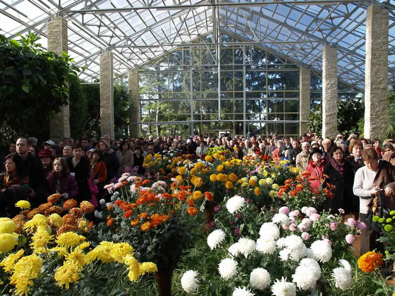 „Flori de toamnă“, la Grădina Botanică