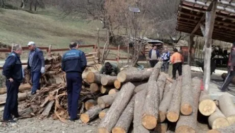 Amendă dată din cauza lemnului