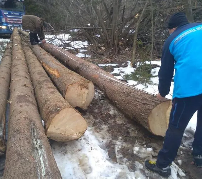Mai multe evenimente care au loc în județ, supravegheate de jandarmi