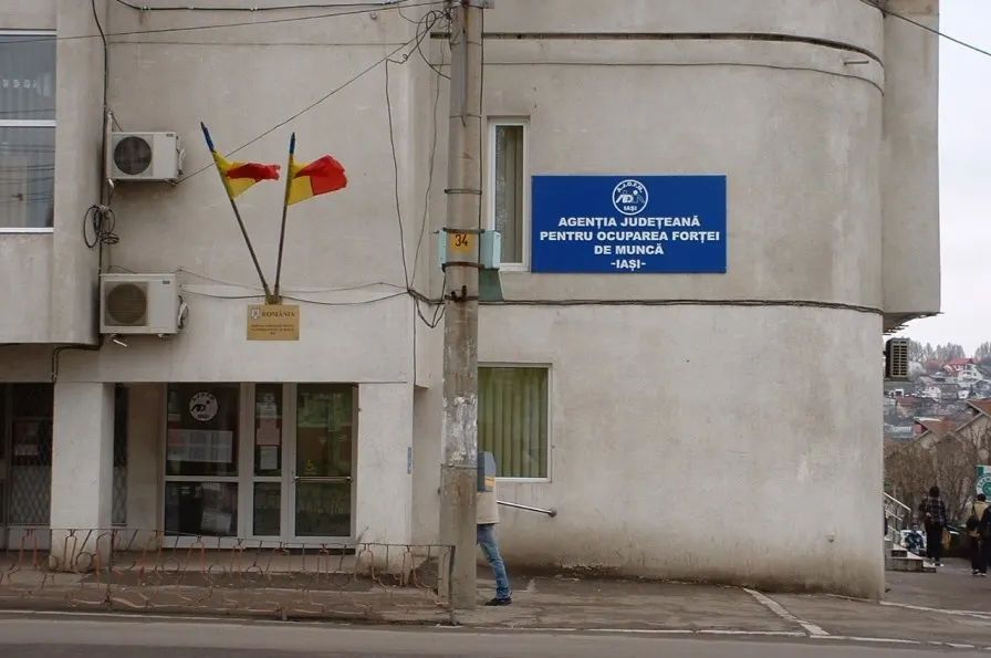 Ofertă de locuri de muncă, de la AJOFM, pentru ieșeni