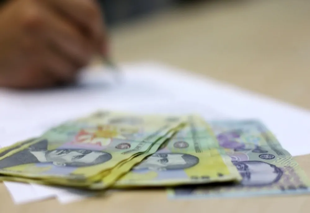 Pensionar, pus la plată de oamenii legii din pricina lemnului!