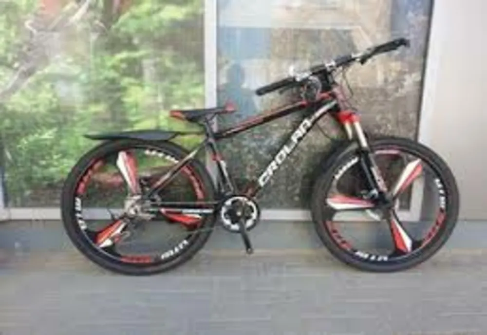 Un tânăr de 19 ani a furat o bicicletă