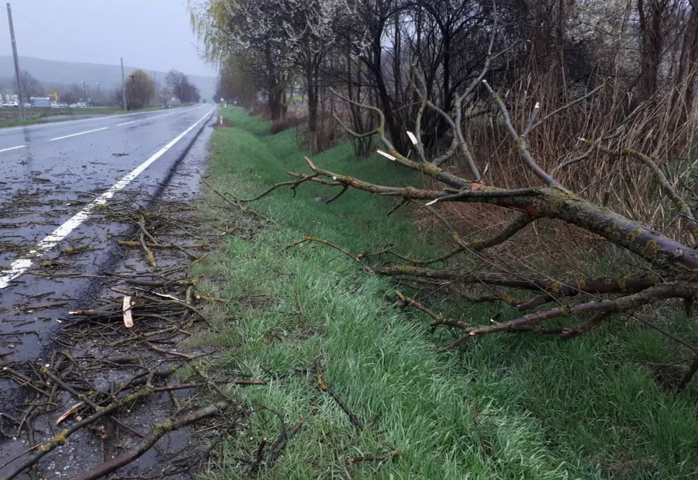 Furtuna a făcut ravagii în județul Iași: gospodării inundate, copaci smulși de vânt, linii de tramvai blocate
