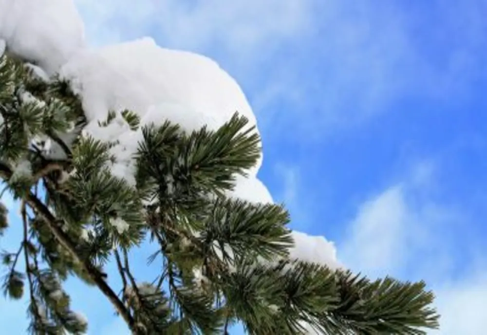 Când vin ninsorile în România - meteorologii au anunțat ce fel de iarnă vom avea