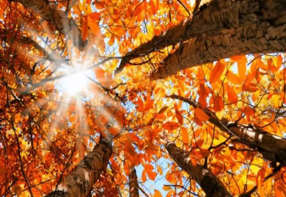 Prognoza meteo pe o lună: schimbări dramatice în septembrie. Zonele unde se instalează toamna