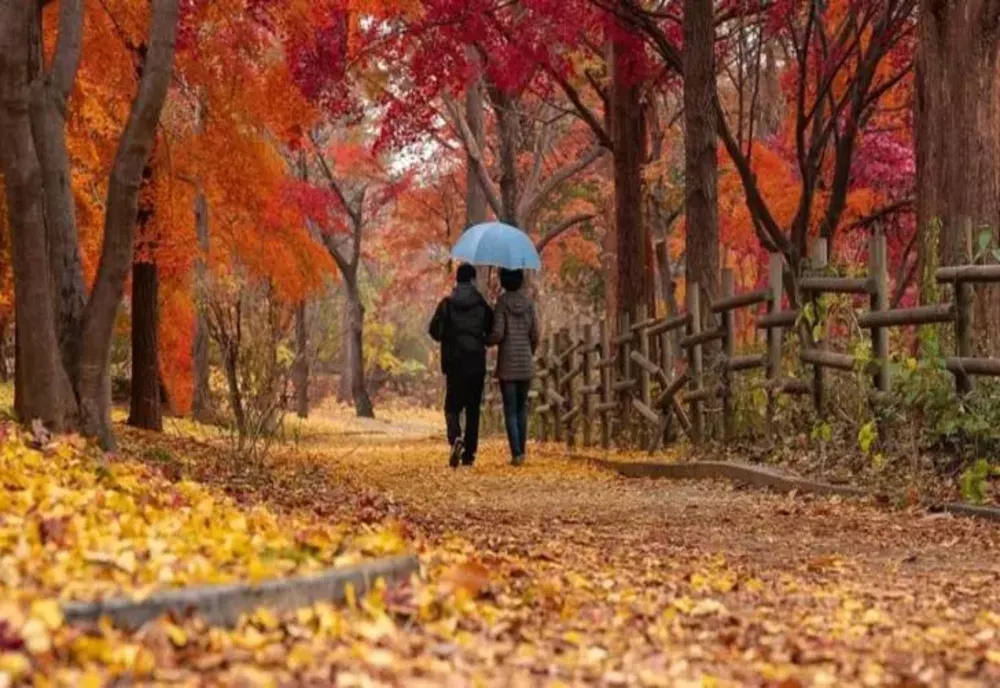 Toamnă cu temperaturi ridicate și aspect plăcut, în majoritatea regiunilor țării. Prognoza ANM pentru următoarele 4 săptămâni
