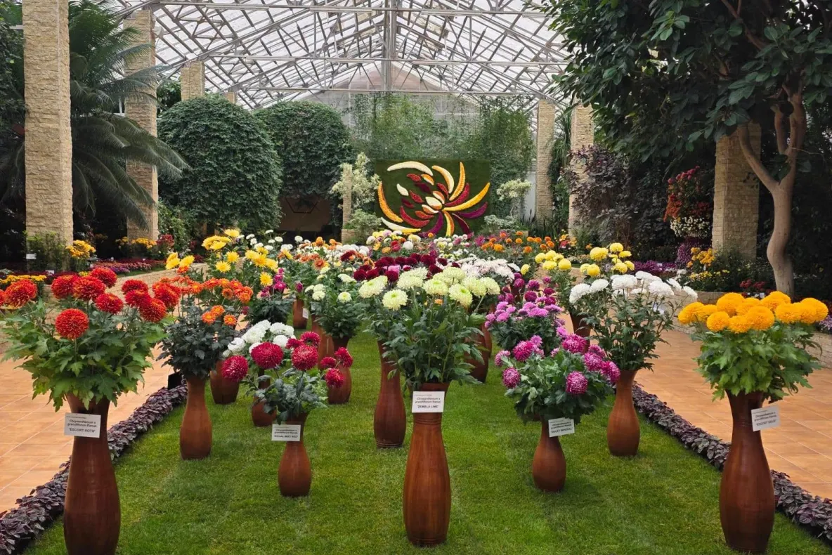 „Flori de Toamnă 2026”, la Grădina Botanică din Iași! Expoziția aniversară ajunge la ediția cu numărul 50