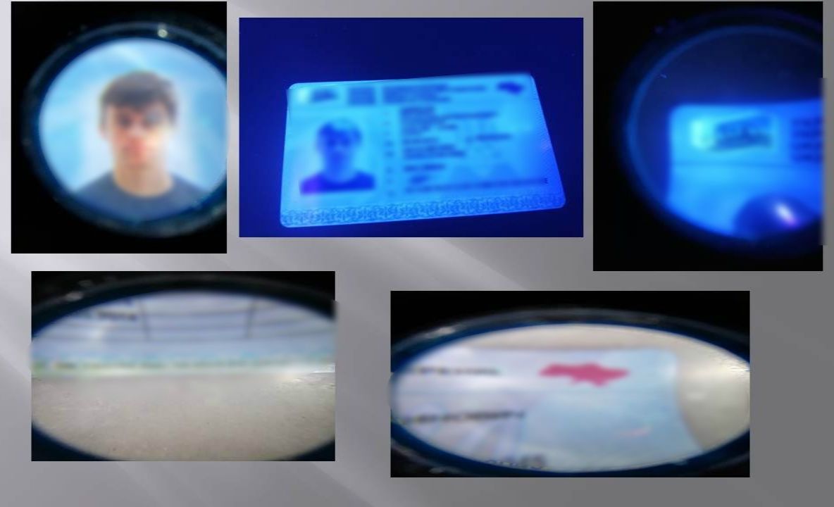 Acte false, descoperite la frontieră