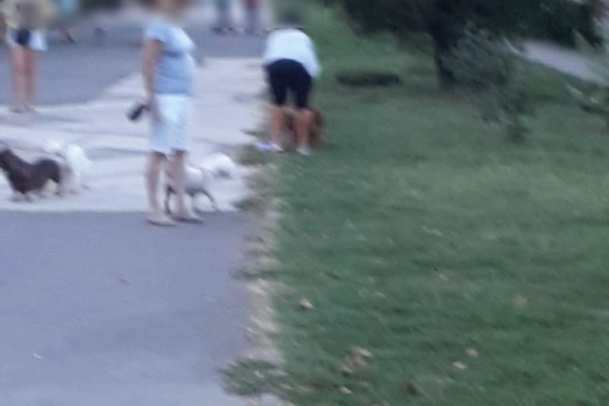 Cu dosare penale, din cauza țigărilor