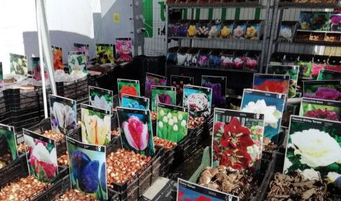 Ieșenii au luat cu asalt Târgul Agralim