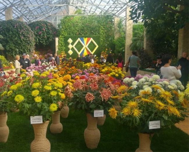 Interes ridicat pentru expoziția de flori de toamnă de la Grădina Botanică