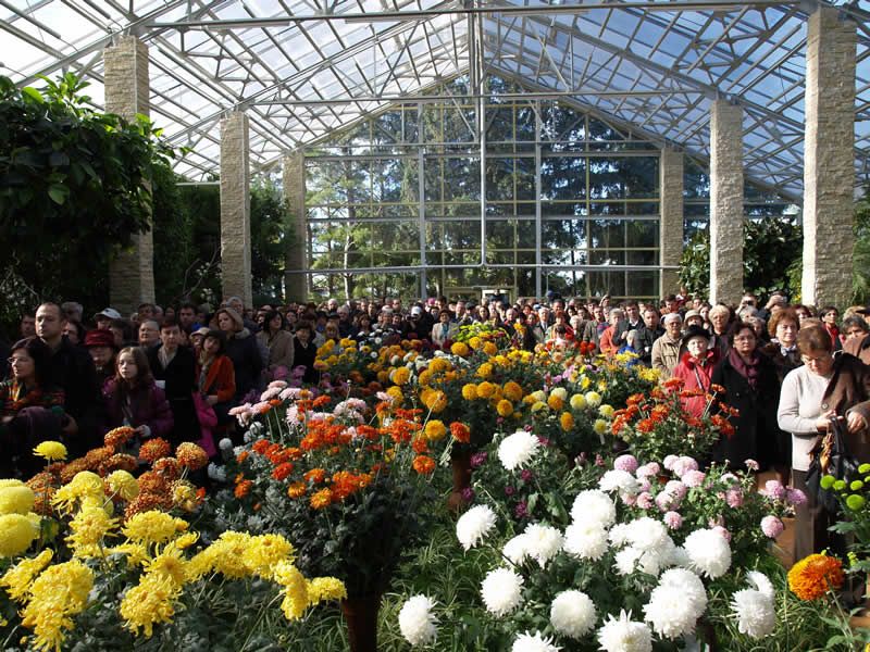 „Flori de toamnă“, la Grădina Botanică