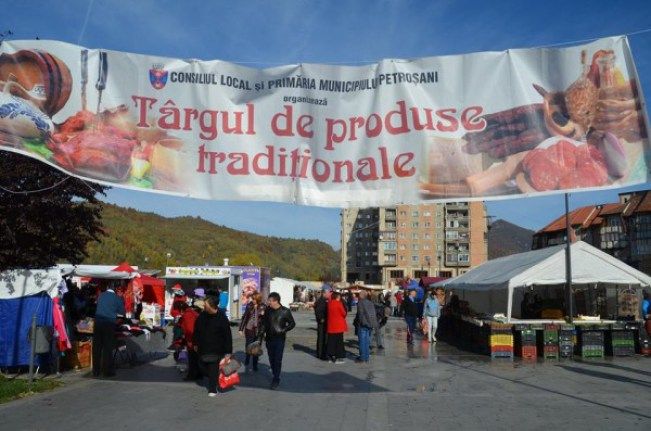 Târg de stagii de practică destinat studenților de la Universitatea „Al. I. Cuza“