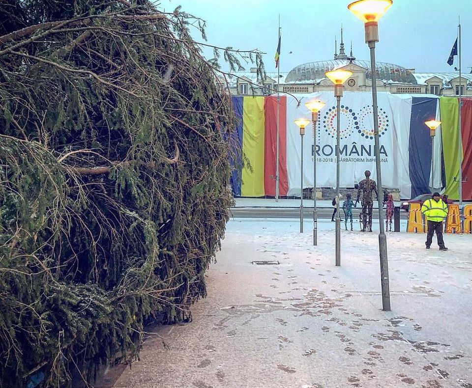 Sute de brazi din Danemarca de Primărie pentru Sărbătorile de iarnă