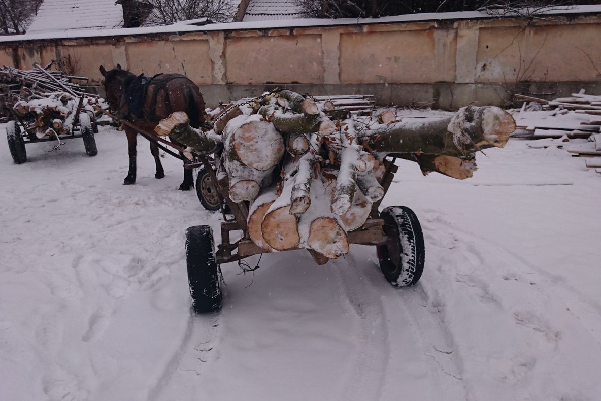 Lemnele le-au adus sancţiuni din partea Poliţiei