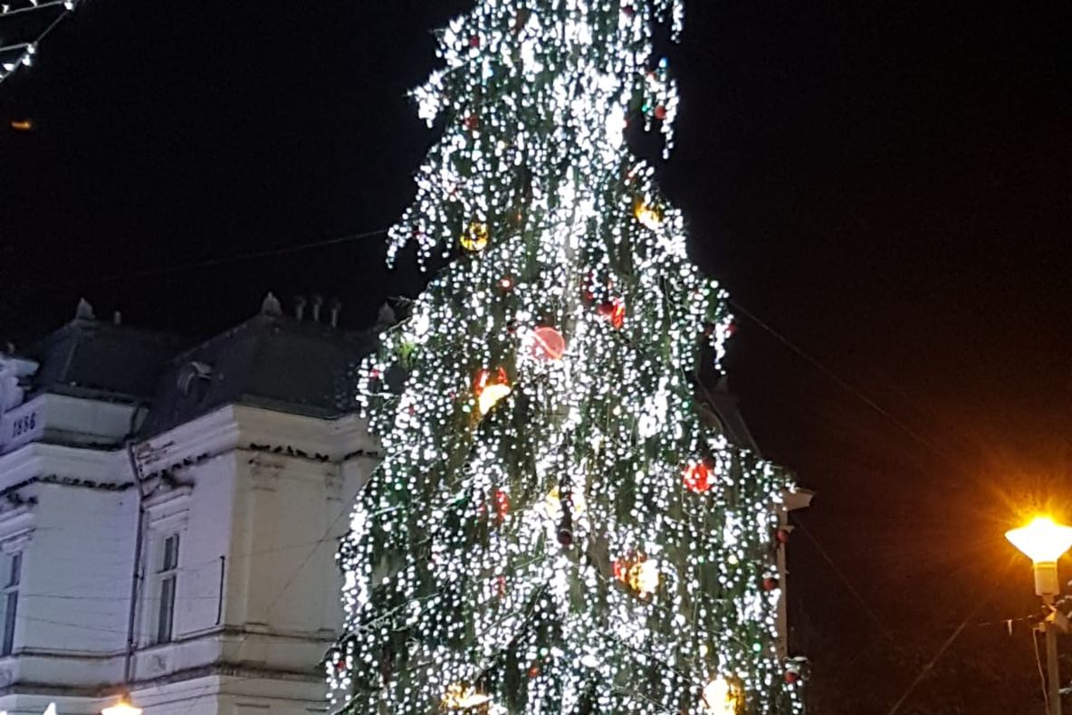 Bradul cu spectacole, la Teatrul Luceafărul