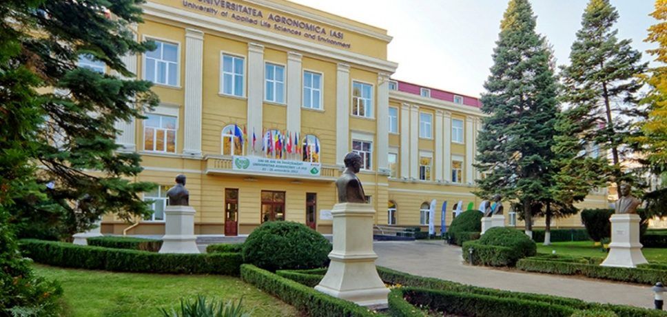 Bază hipică modernă, la ieșirea din Iași