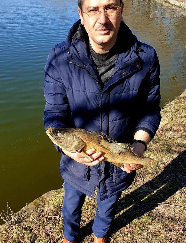 Pești morți și apă intoxicată în lacul Ciric (FOTO)