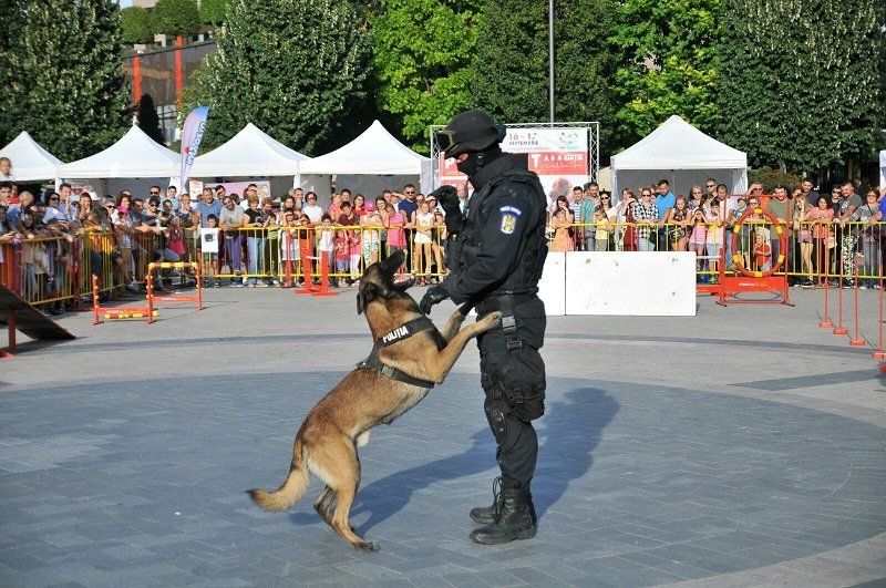 Demonstrații de dresaj canin și alte evenimente cu ocazia Zilei Poliției