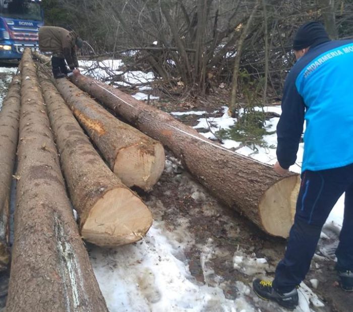 Mai multe evenimente care au loc în județ, supravegheate de jandarmi
