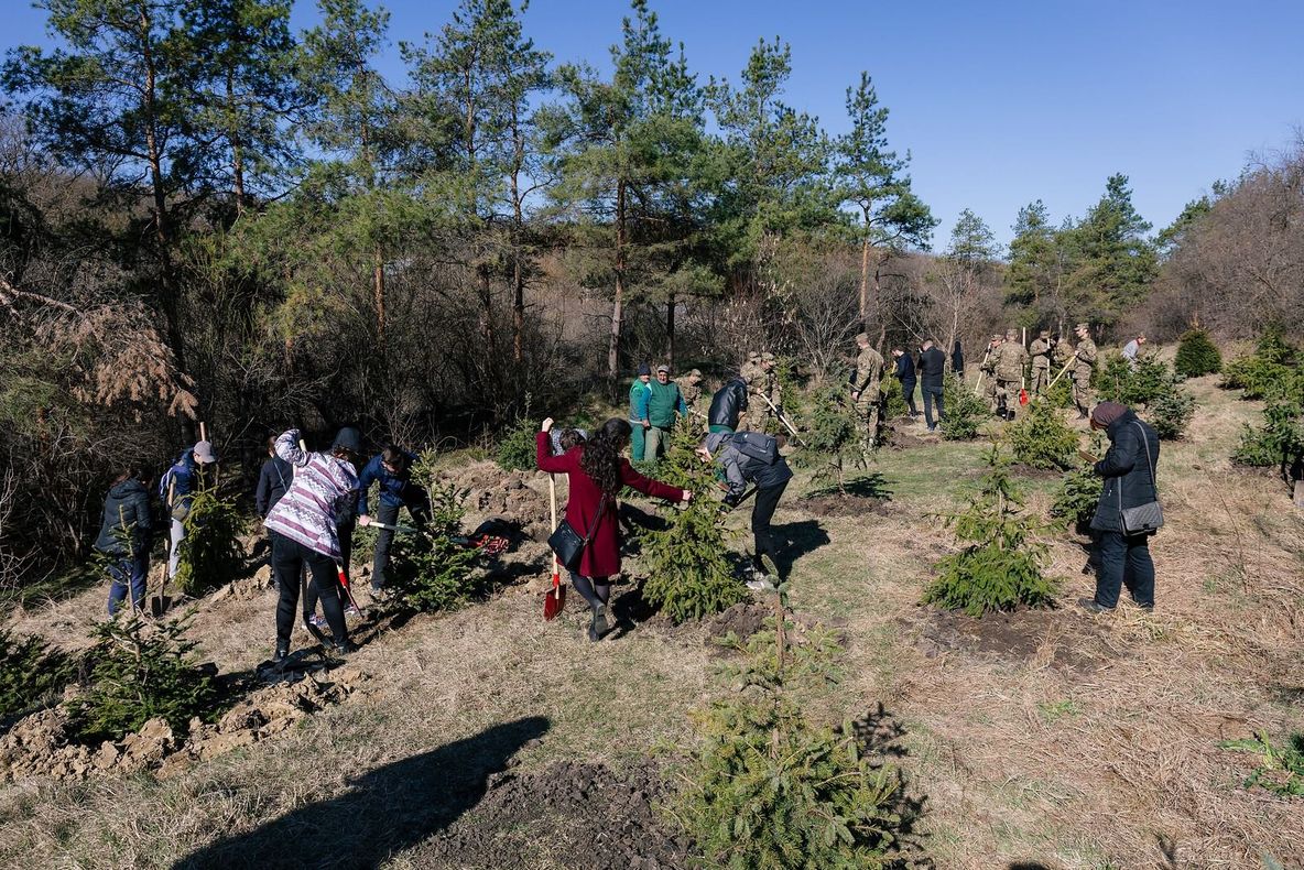 Campanie de plantare copaci în mai multe zone din oraș