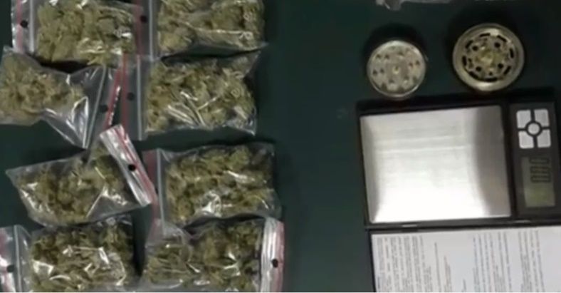 Condamnaţi din cauza canabisului