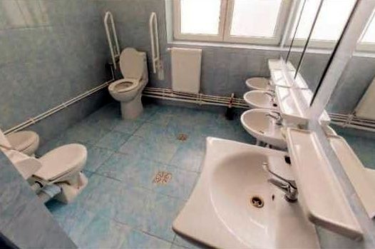 Cu ce se laudă președintele Consiliului Județean Iași: toalete de grădiniță, la comun