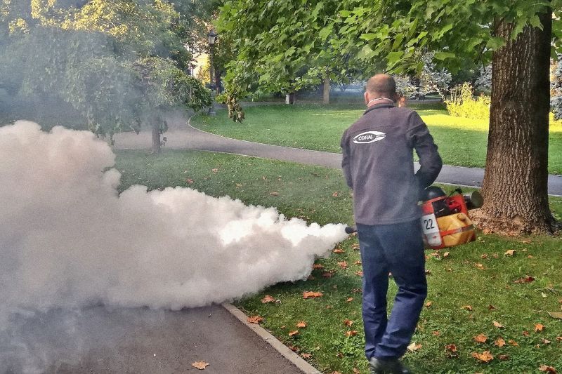 A început dezinsecția prin oraș!