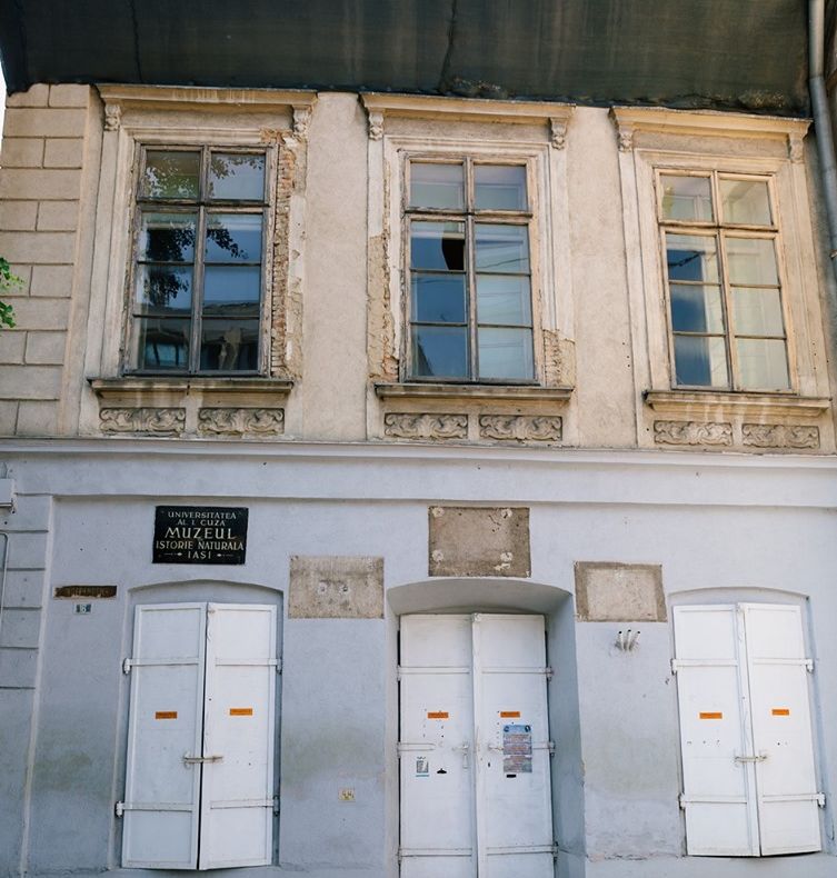 GALERIE FOTO: Şantier pe doi ani la Muzeul de Istorie Naturală