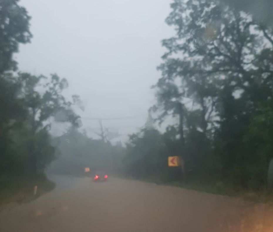 Furtuna a făcut ravagii în Iași