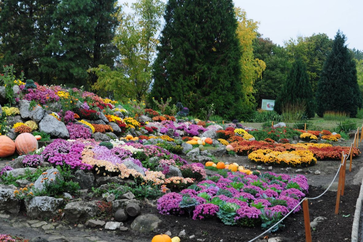 Expoziția "Flori de toamnă", la Grădina Botanică Iași