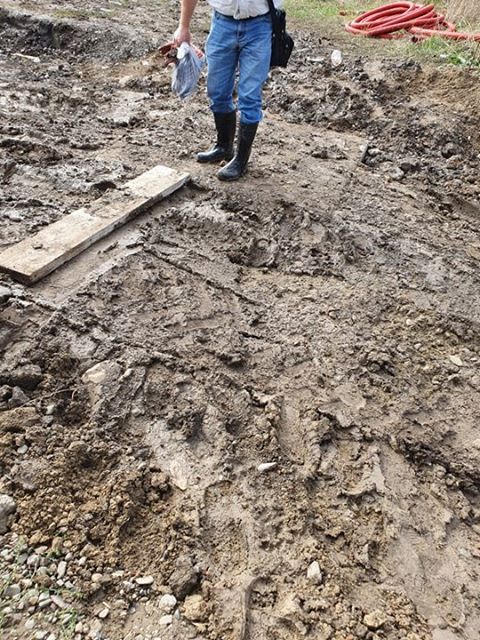 Galerie foto: Zeci de ieşeni trăiesc ca la ţară! Dau vina pe autorităţi!