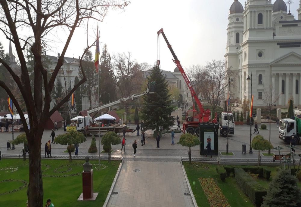 A început ornarea bradului de Crăciun, de pe pietonalul Ștefan cel Mare - FOTO