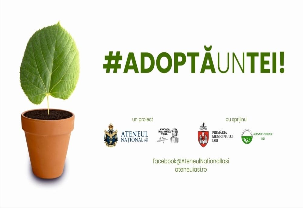 100 de tei vor fi plantați astăzi în oraș