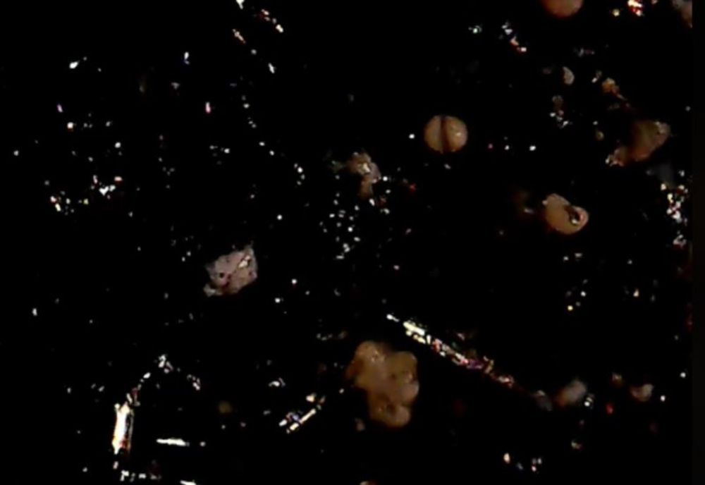 Ce a descoperit profesorul Silviu Gurlui la cele două bucăți de meteorit descoperite în județul Iași - VIDEO