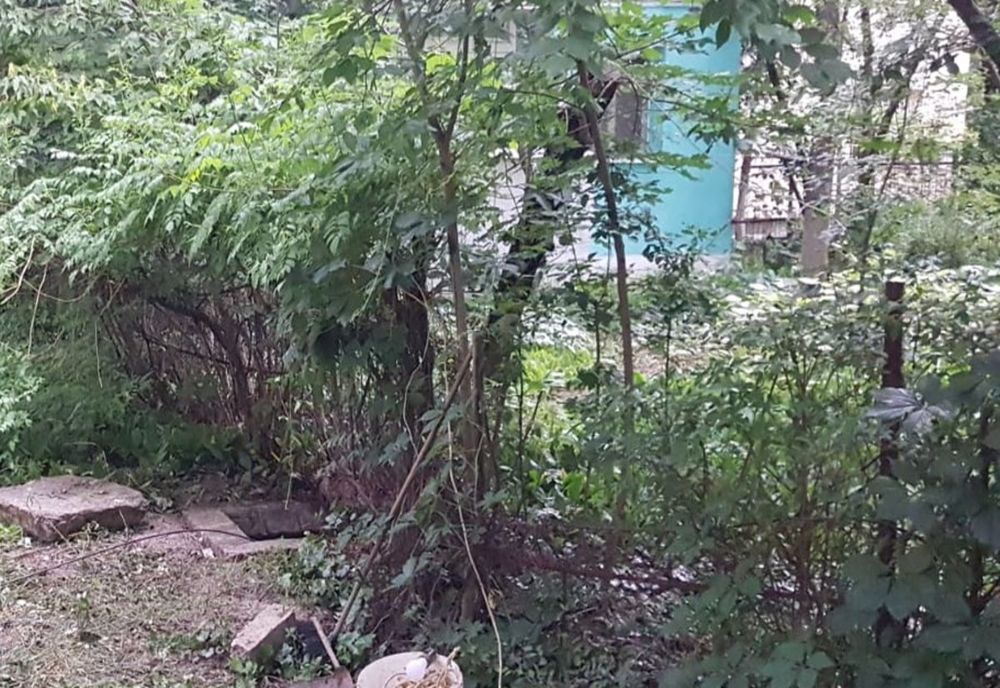 Caz ciudat la Iași: Doi bărbați au căzut într-un canal cu dejecții din Alexandru cel Bun