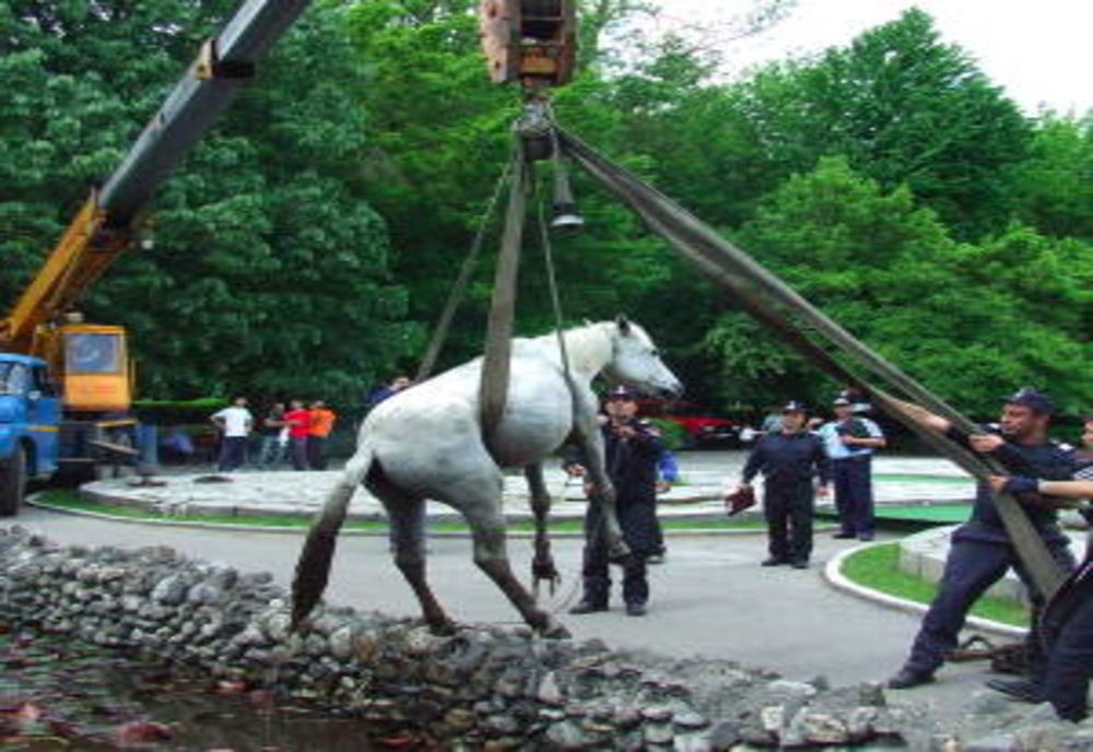 Trei cai au fost salvați de pompierii ieșeni într-o singură zi