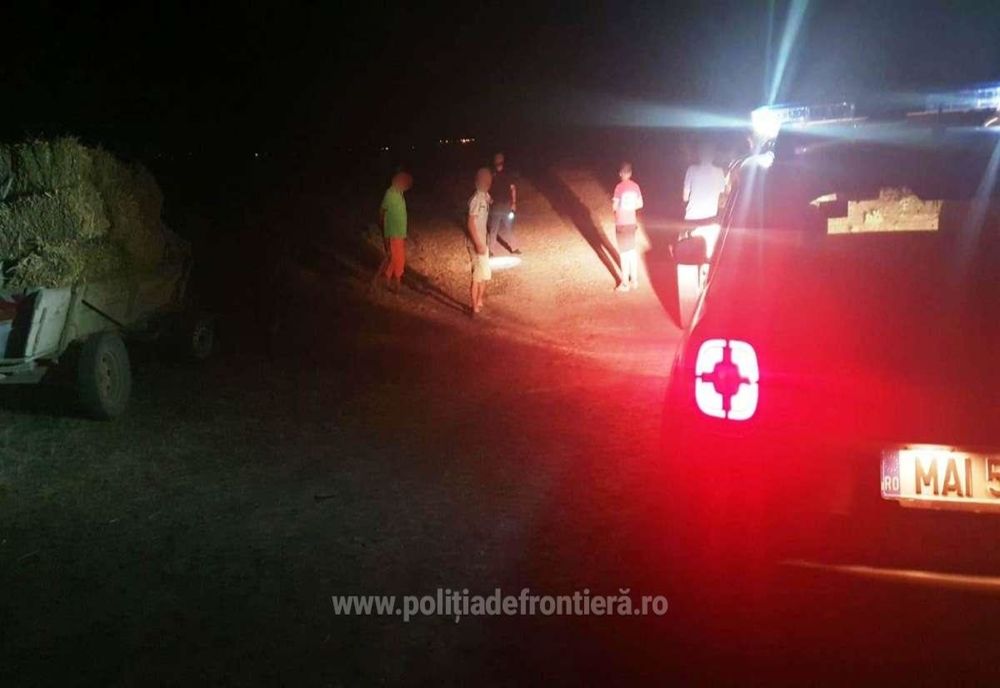 Prinși la furat baloți de paie