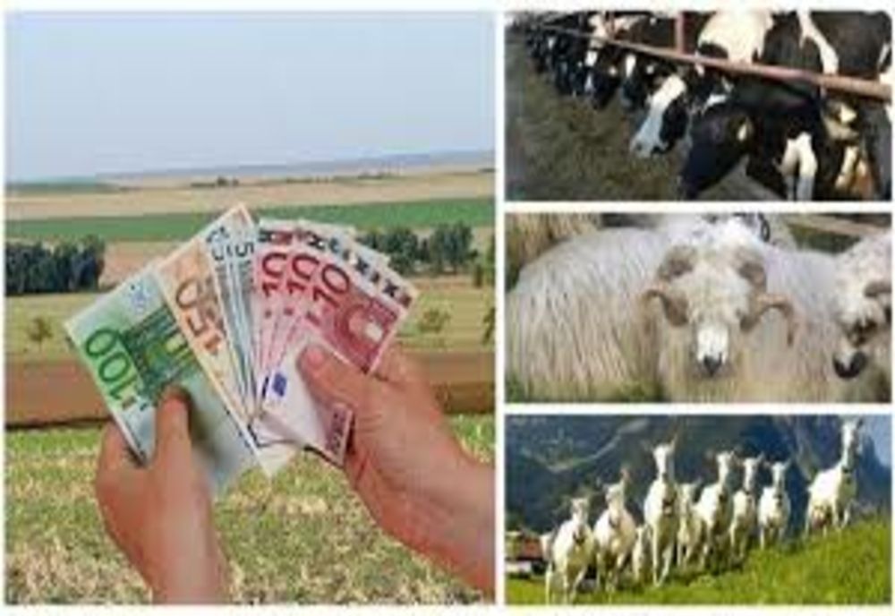 Fermierii pot depune la APIA cererile de plată pentru ajutorul de stat în sectorul creşterii animalelor aferente serviciilor prestate în luna decembrie și trimestrul al IV-lea al anului 2020