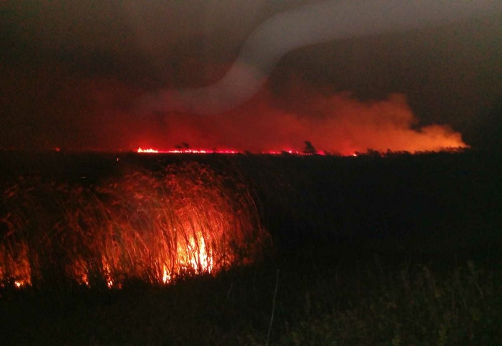 Ard 30 de hectare de vegetație uscată la Bălțați