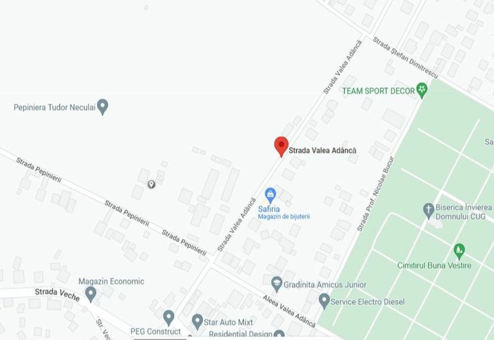 Două străzi din Iași vor purta numele sculptorului Constantin Brâncuși, respectiv pictorului Nicolae Grigorescu