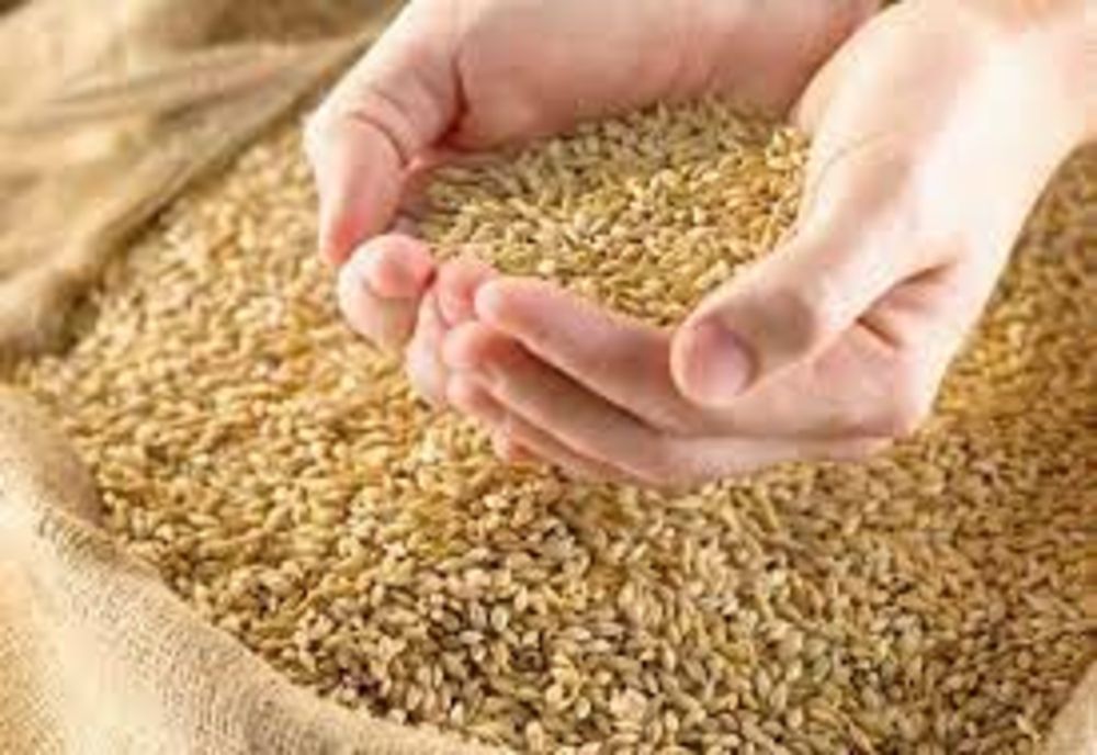 MADR oferă sprijin de 200 milioane de euro, pentru industria de procesare a cerealelor și fabricarea uleiurilor-PROIECT