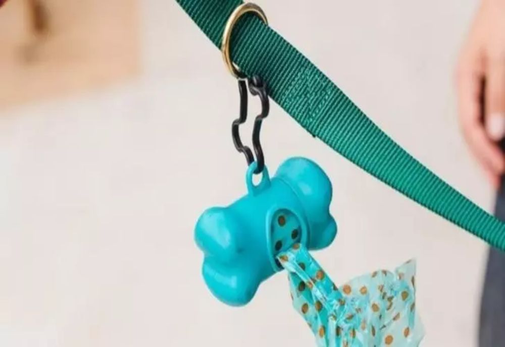 Spectacol total pe o stradă din România - ce ținea o femeie ÎN LESĂ: "Mi-am făcut cruce!"