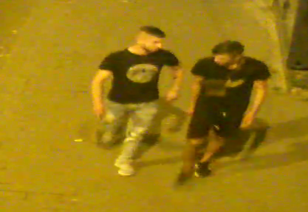 Atenție, TÂLHARI! Poliția cere ajutorul populației