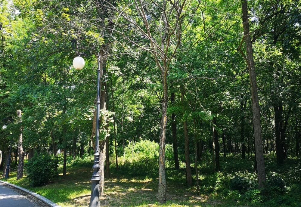 Ieşean, salvat în ultimul moment de polițiști! Acesta amenința că se va sinucide