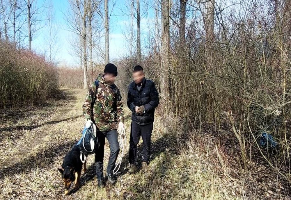 Migrant palestinian şi călăuza sa, cercetaţi de poliţiştii pentru trecere frauduloasă a frontierei de stat şi trafic de migranţi