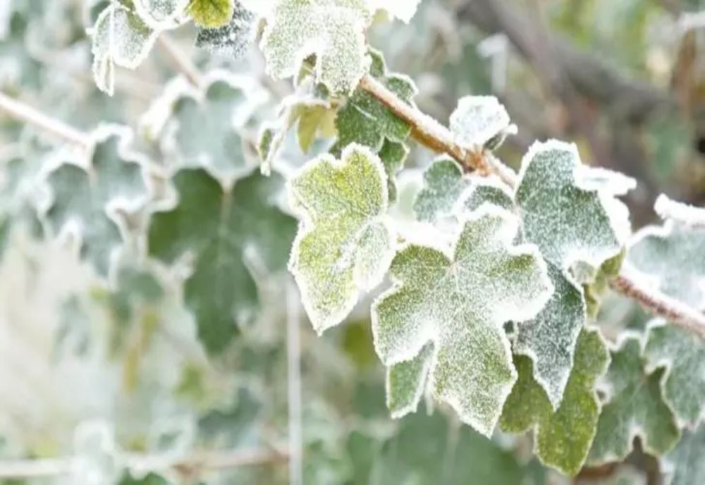 Vremea 18 martie. Temperaturi scăzute, mai ales dimineața și seara